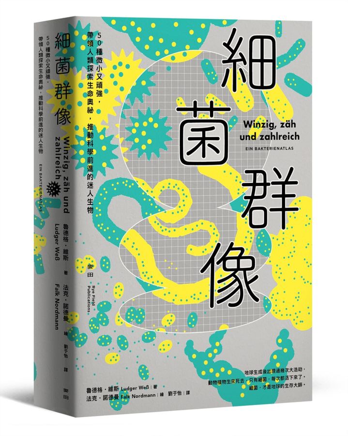 細菌群像